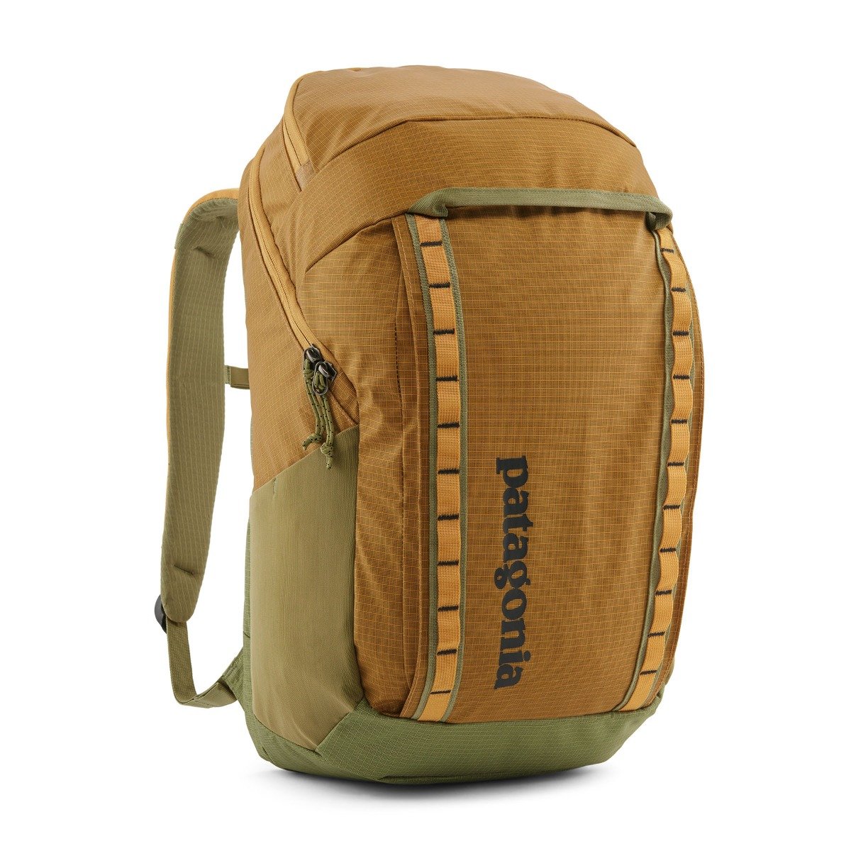 Patagonia Black Hole 32L Backpack - Pufferfish