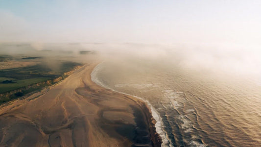 5 Places in the UK with the Best Ocean Wildlife