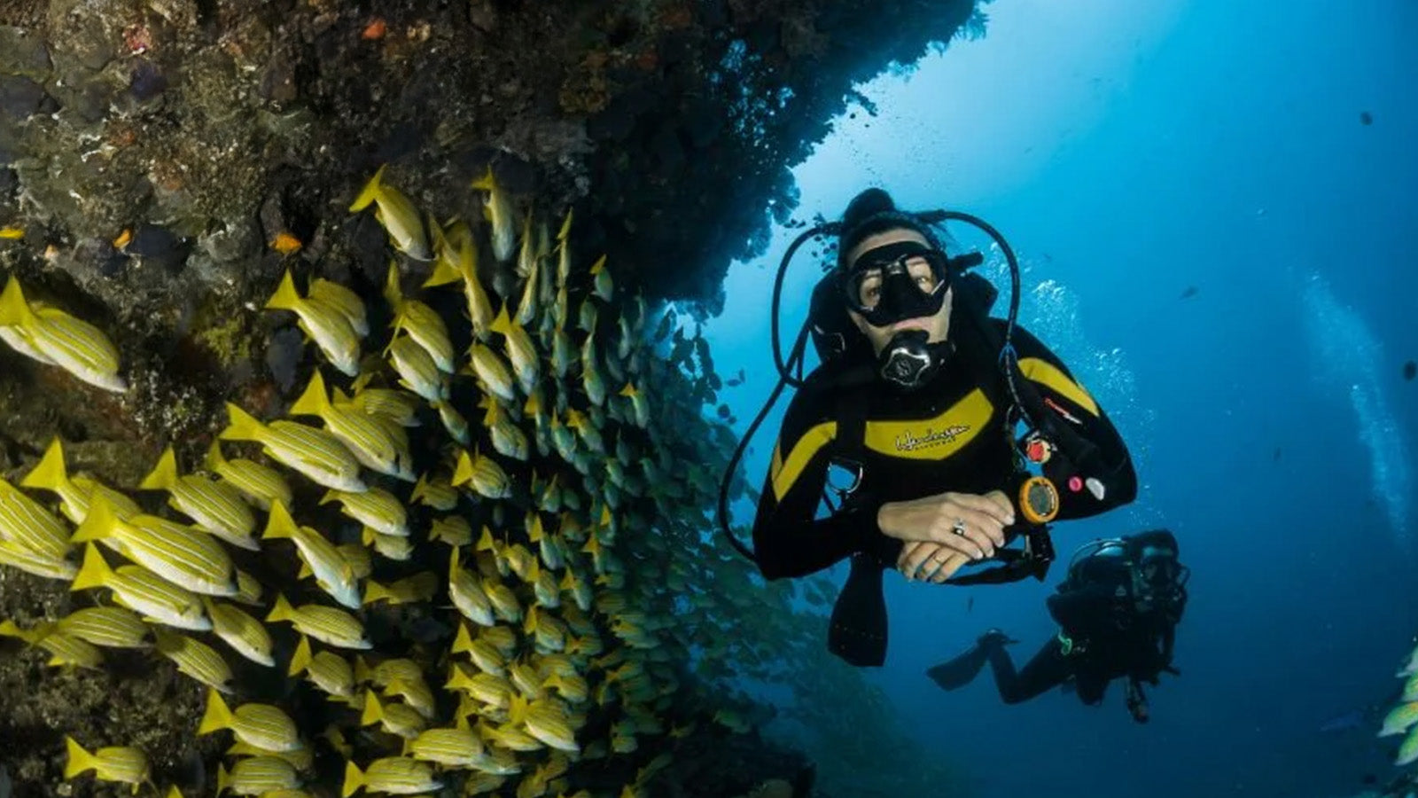 Diving Wetsuit Thickness Guide Wetsuit Centre