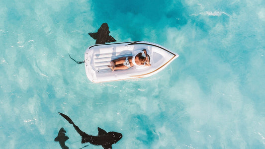 Surfer All Alone with Shark For Company