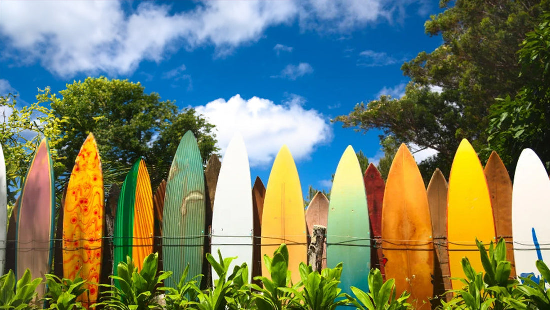Array of surfboards lined up on a wall