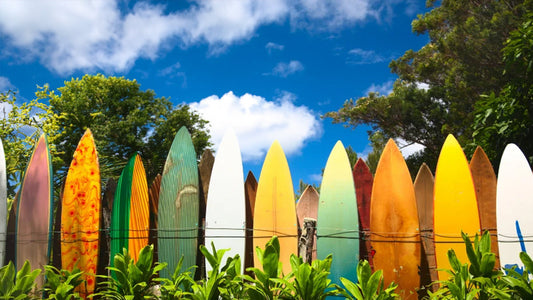 Array of surfboards lined up on a wall