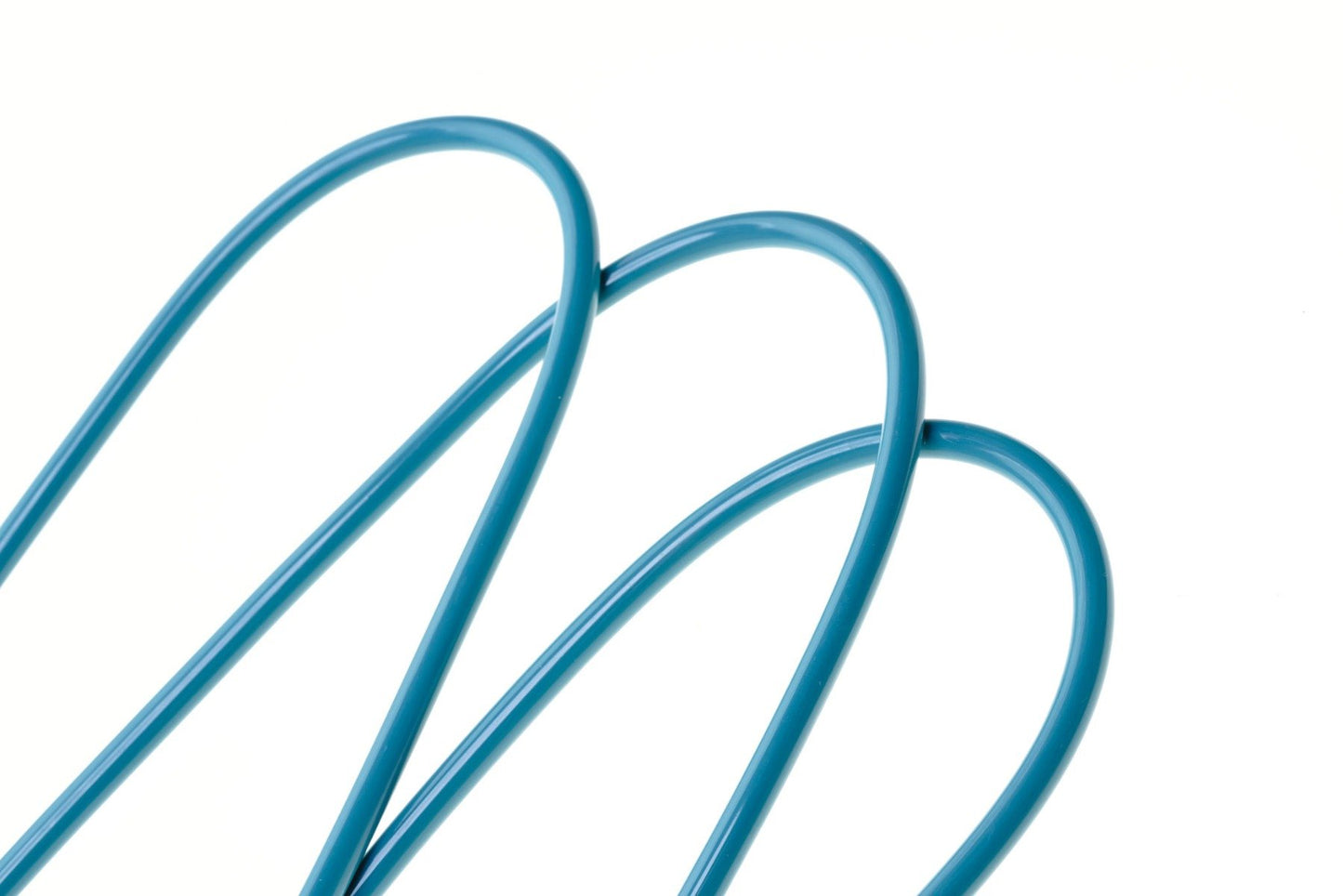 leash cord