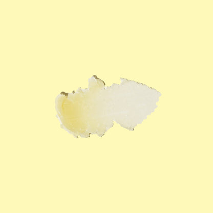 Sun Bum CocoBalm Moisturising Lip Balm - Ocean Mint